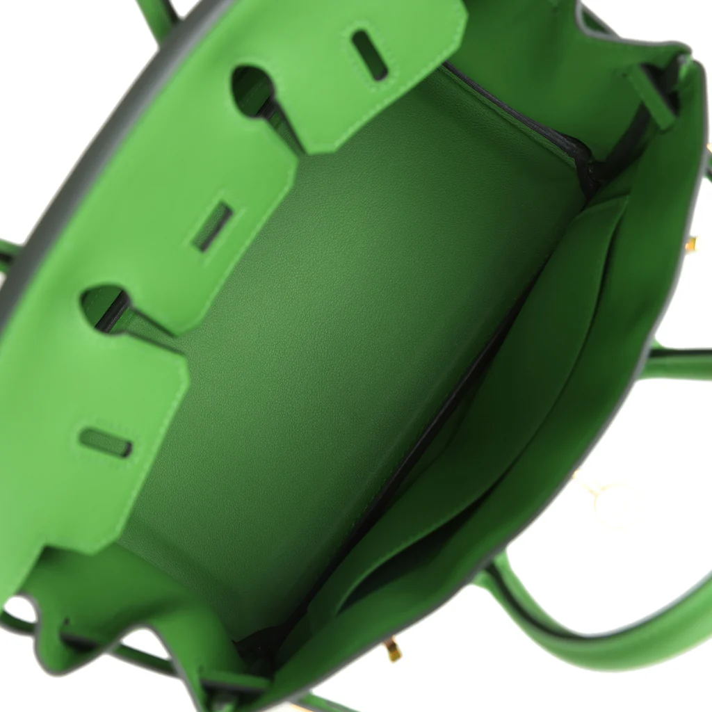 Birkin 25 Vert Yucca Swift Gold Hardware - Image 7