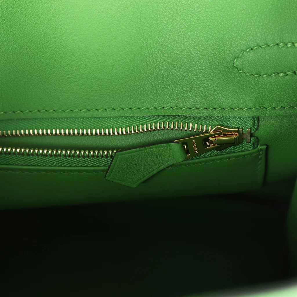 Birkin 25 Vert Yucca Swift Gold Hardware - Image 9